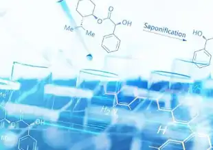 大脑计算新革命：意识远超算法，AI仅是数字幻影