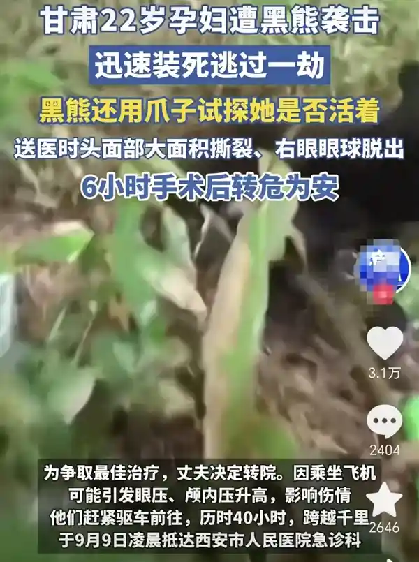 甘肃孕妇遭黑熊袭击装死脱险，神秘原因引热议